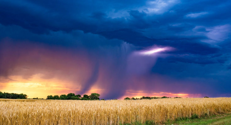 Rick Rasmussen Rain